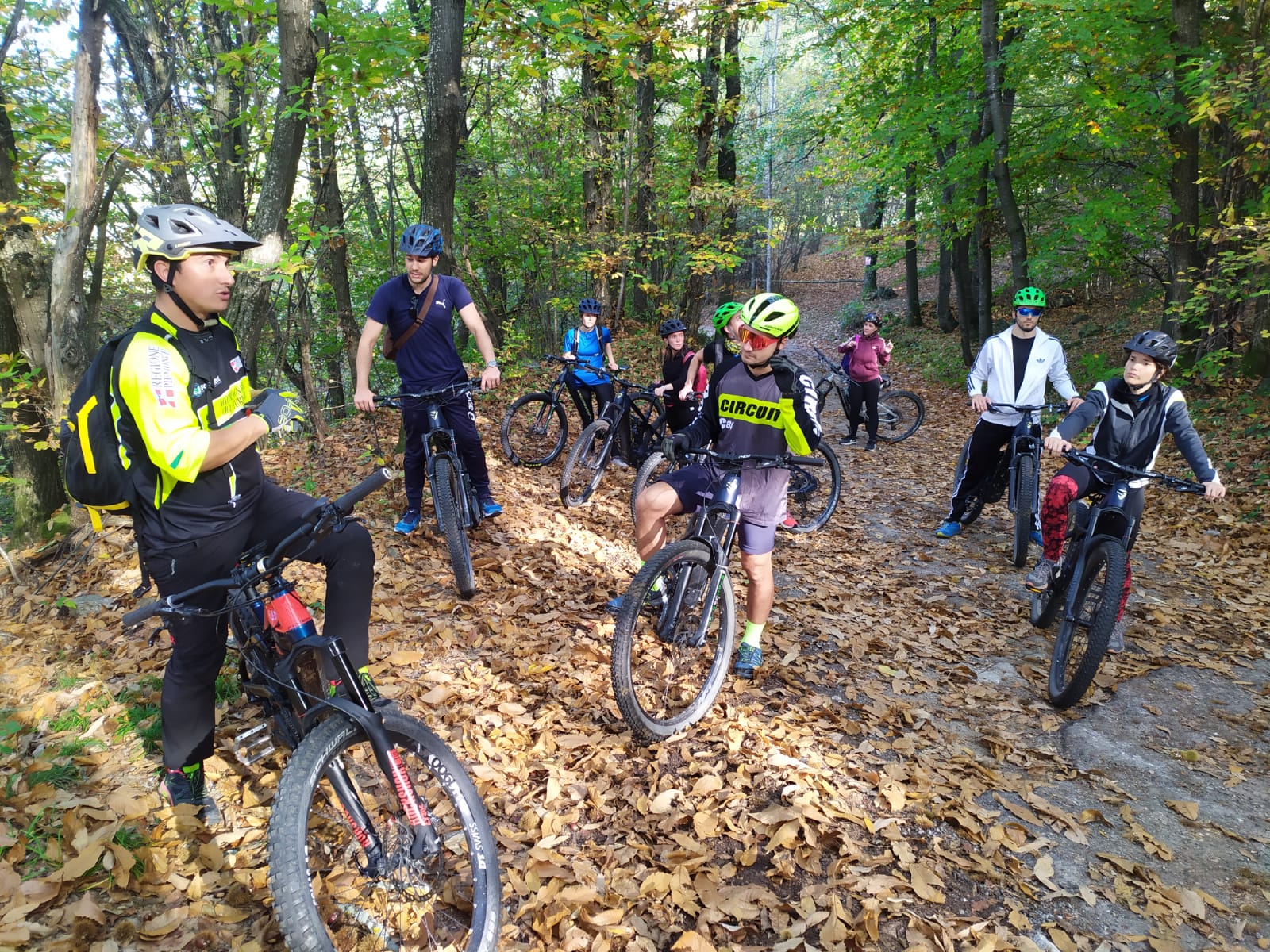 bici nel bosco