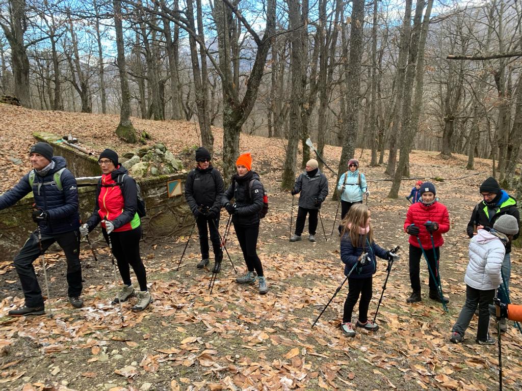 nordik walking