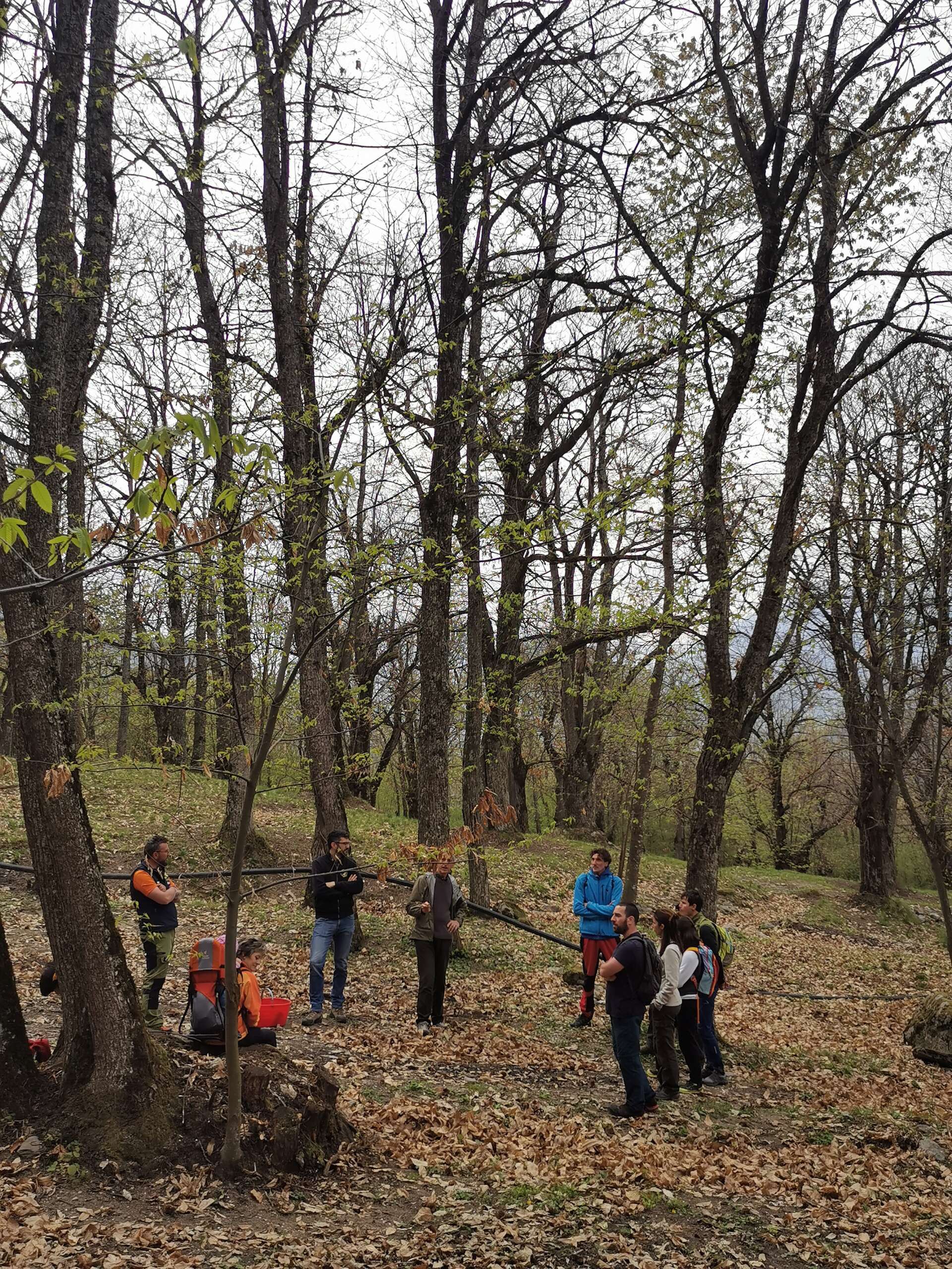persone nel bosco